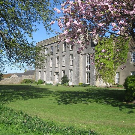 Ash Hill B & B Kilmallock Екстер'єр фото