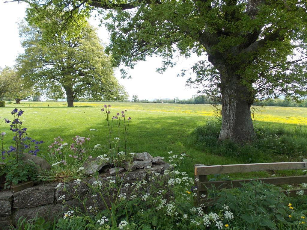Ash Hill B & B Kilmallock Номер фото