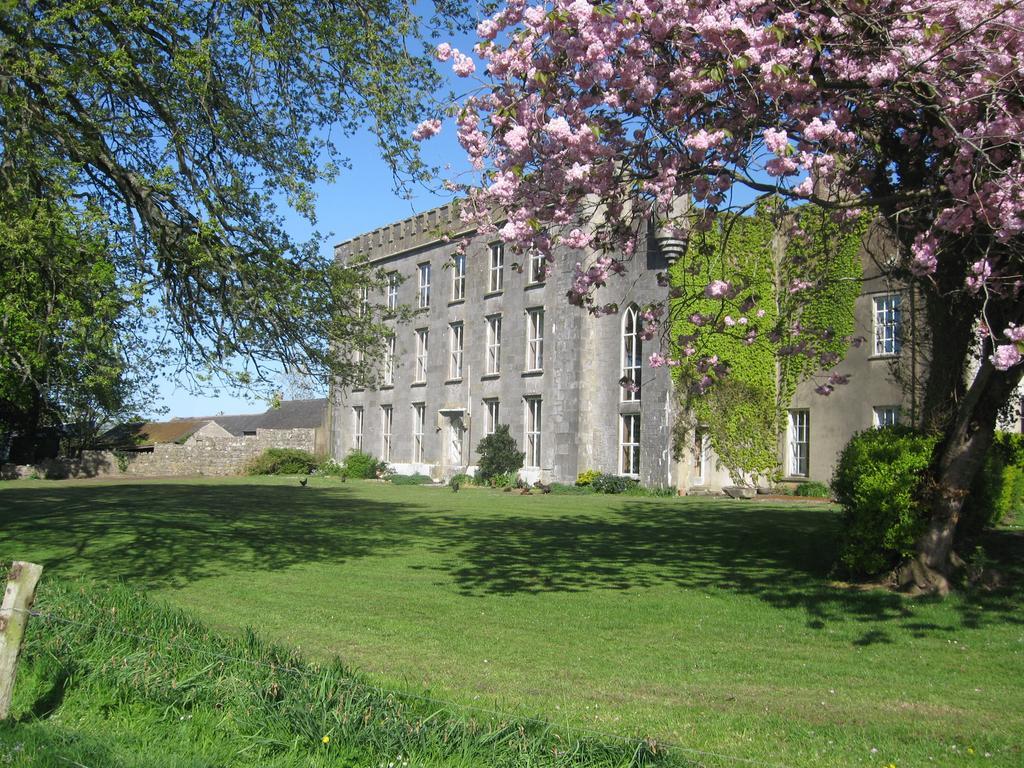 Ash Hill B & B Kilmallock Екстер'єр фото