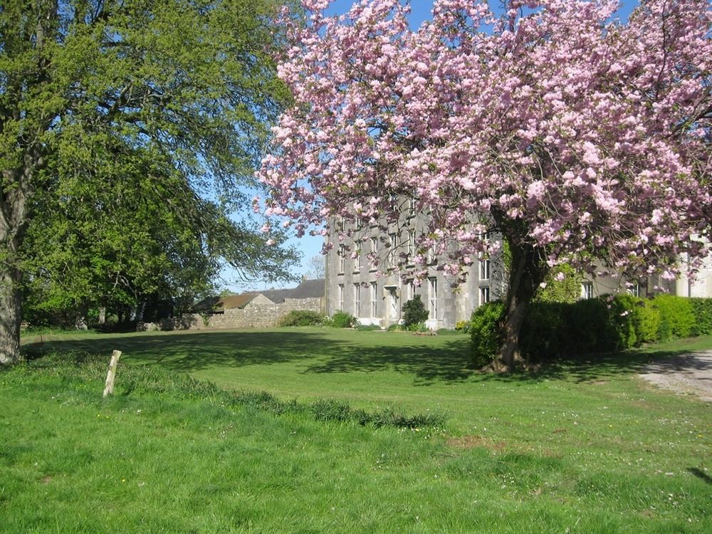Ash Hill B & B Kilmallock Екстер'єр фото