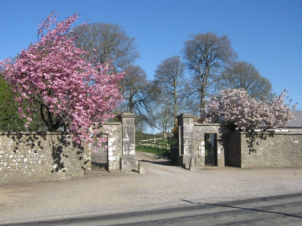 Ash Hill B & B Kilmallock Екстер'єр фото